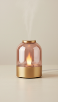 Glass Carafe With Cork Stopper