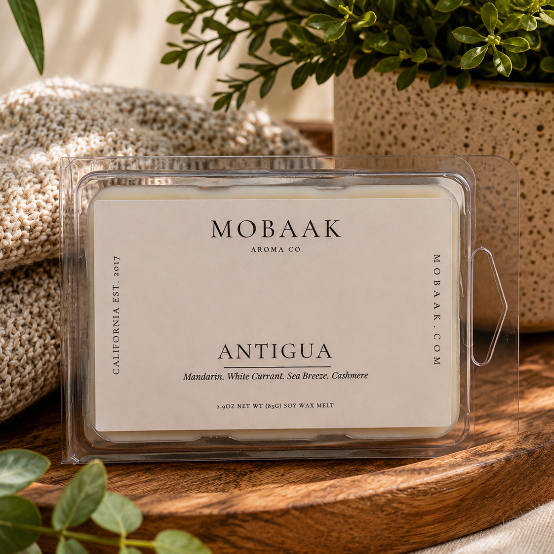 Antigua Wickless Tart